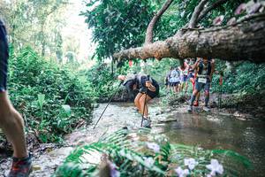 BIB: 
                            <button type="button" onclick="openModal(25450596)" class="btn btn-primary btn-sm float-right btn-popup" data-toggle="modal" data-target=".modal-high-quality">
                        <i class="fas fa-shopping-cart"></i> Add to Cart
                    </button>
                                            <button type="button" onclick="isThisMe(25450596, true)" class="btn btn-success btn-sm float-right btn-popup btn-isme hidden" data-toggle="tooltip" data-placement="bottom" title="นี่คือรูปของคุณใช่ไหม คลิกที่นี่เพื่อเอาเข้าอัลบั้ม">
                        <i class="fas fa-plus"></i> Add to album
                    </button>
                    <button type="button" onclick="isThisMe(25450596, false)" class="btn btn-warning btn-sm float-right btn-popup btn-isnotme hidden">
                        <i class="fas fa-ban"></i> Remove from album
                    </button>